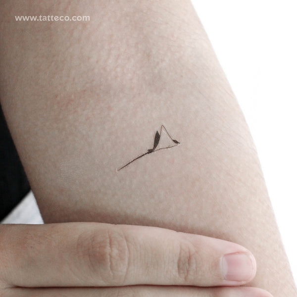 Little Spotted Manta Ray Temporary Tattoo - Set of 3
